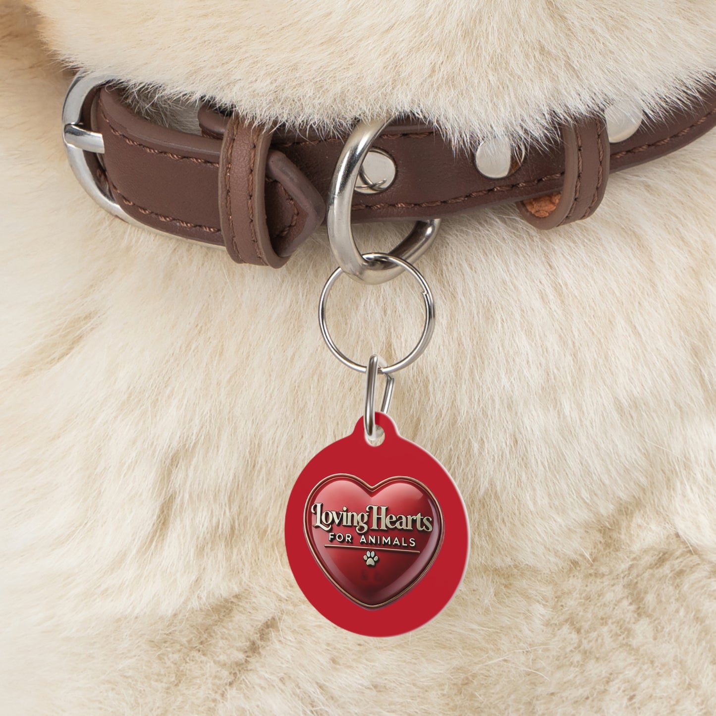 Loving Hearts For Animals Pet Tag – Support Animal Rescues with Every Wag & Purr